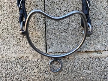 Equitazione: Chifney ed altro