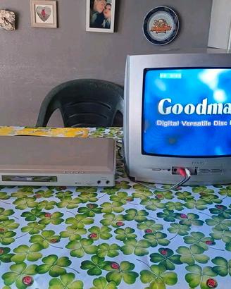 TV CRT 14 POLLICI PHILIPS 