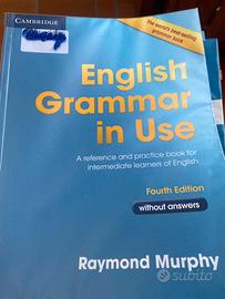 English grammar  in use
