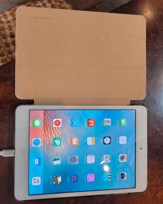 Ipad mini