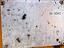 Immagine 12