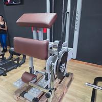 technogym silver Leg curl in piedi 