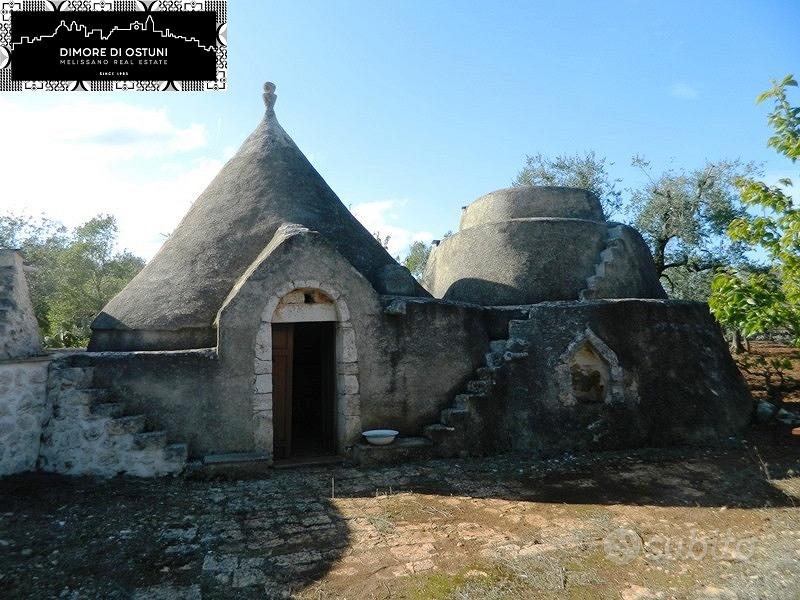 TRULLO con LAMIA e 8200mq TERRENO - AGRO DI OSTUNI - Vista 3