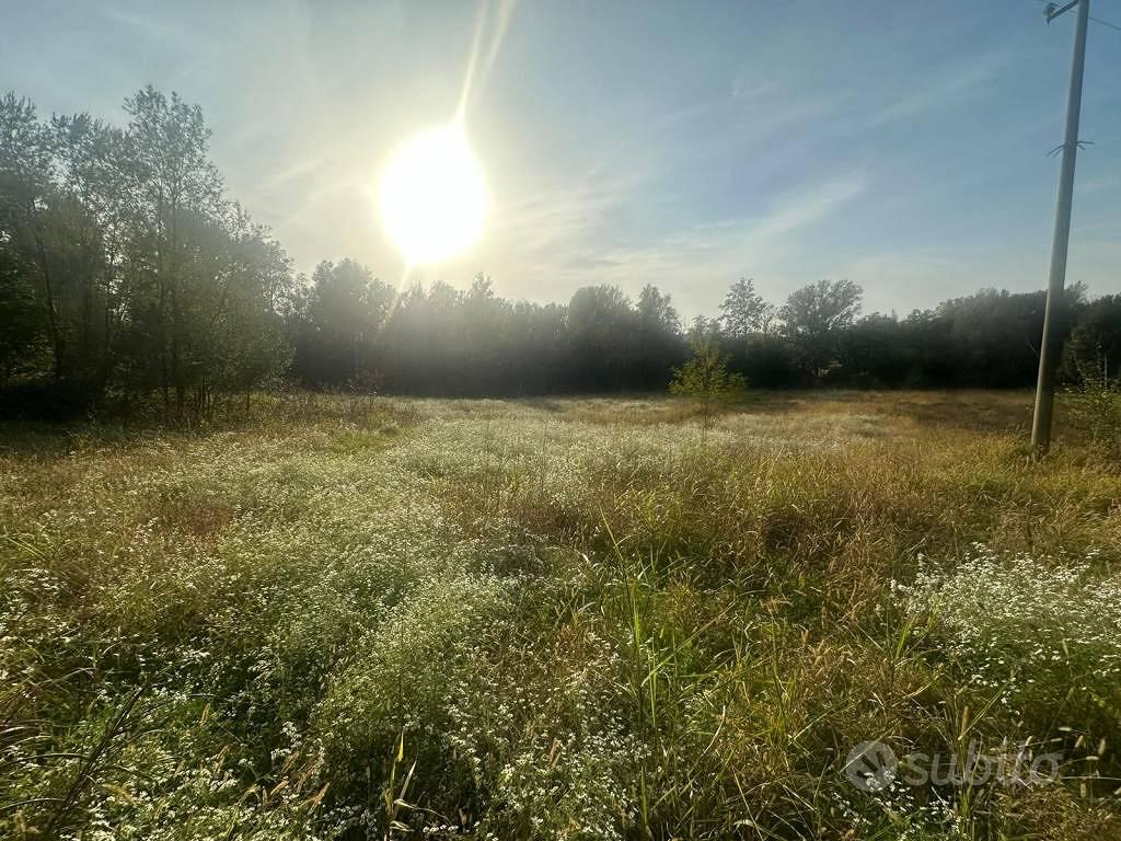 Terreno di 6555 m² a Nibionno - Vista 5