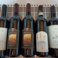 Lotto 5 bottiglie Brunello di Montalcino