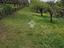 Immagine 13
