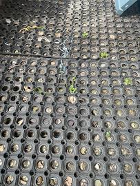 Tappeti gommati 100x50x1.0 cm