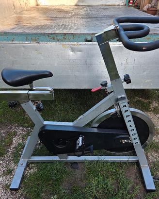 Cyclette Appaloosa