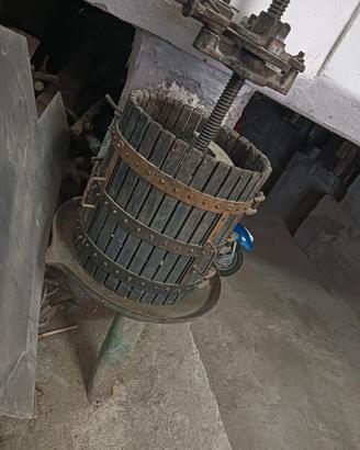 torchio 