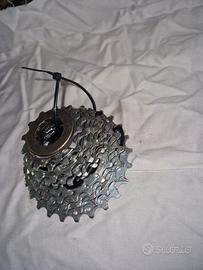 pacco pignoni campagnolo 10V 