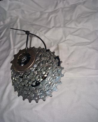 pacco pignoni campagnolo 10V 