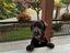 Immagine 6