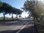 Immagine 11