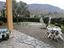 Immagine 24