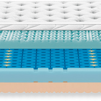 Materasso Dorsal Zefiro Gel