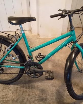 bicicletta 