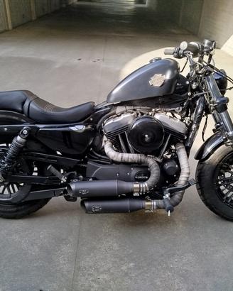 Harley davidson sporster 1200 48 forty eight