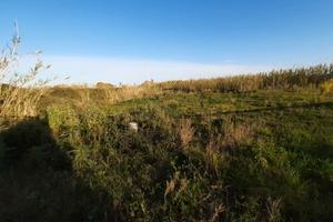 FALL 4/2022 - Tribunale di Patti - Lotto 5