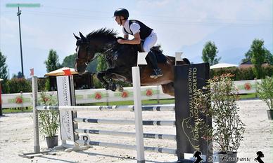 Cavallo