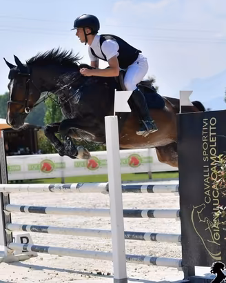 Cavallo