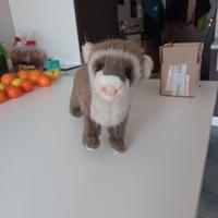 peluche furetto