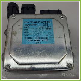 Centralina Sterzo KOYO 6900001744 CITROEN C3 2a Se