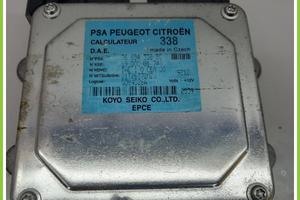 Centralina Sterzo KOYO 6900001744 CITROEN C3 2a Se