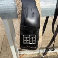 Sottopancia dressage equestro