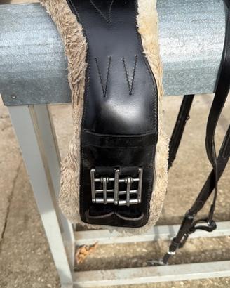 Sottopancia dressage equestro