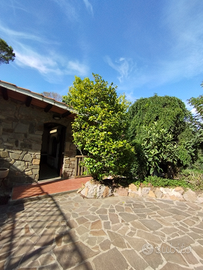 Sala rustica con giardini