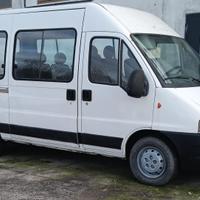 Fiat ducato 9 posti