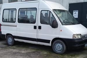 Fiat ducato 9 posti