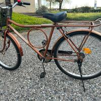 Bicicletta brasiliana barra circular