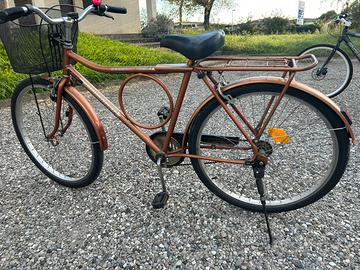 Bicicletta brasiliana barra circular