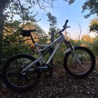 Intense 6.6