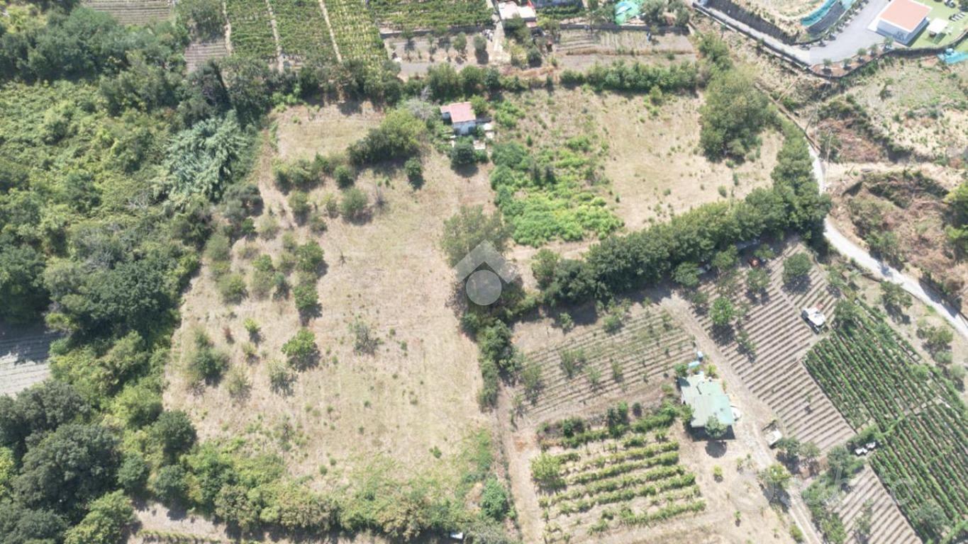 TERRENO A POLLENA TROCCHIA - Vista 3