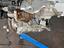 Immagine 7