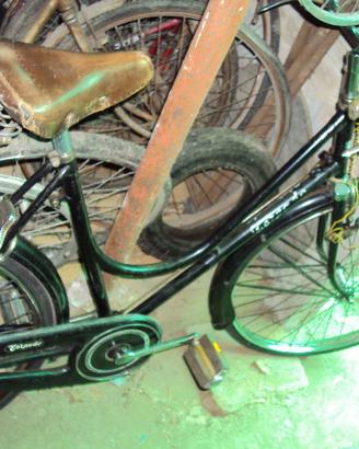 bicicletta torpado