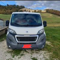 Peugeot Boxer allestito per Trasporto animali