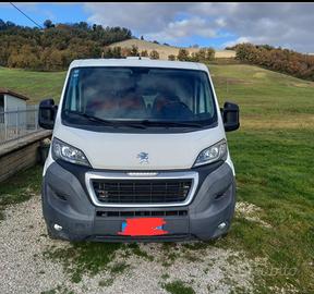 Peugeot Boxer allestito per Trasporto animali