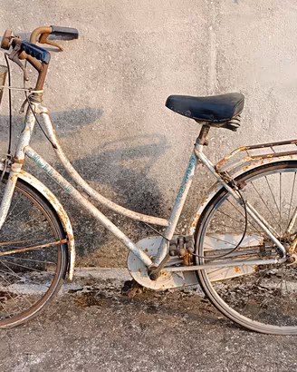 Bicicletta Holland da sistemare