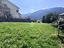 Immagine 7