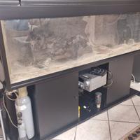 acquario da 180 cm completo