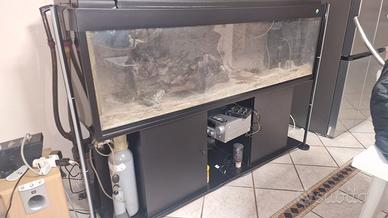 acquario da 180 cm completo