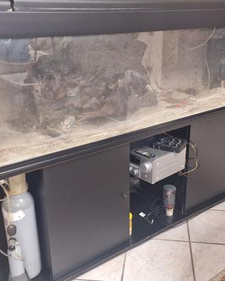 acquario da 180 cm completo