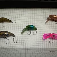 Crank trout area lotto 4