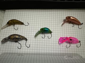 Crank trout area lotto 4