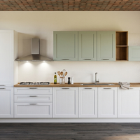 CUCINA LINEARE CON ELETTRODOMESTICI INCLUSI CUCINE