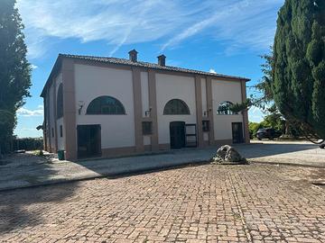 Gestione per ristorante pizzeria vicinanze Ferrara