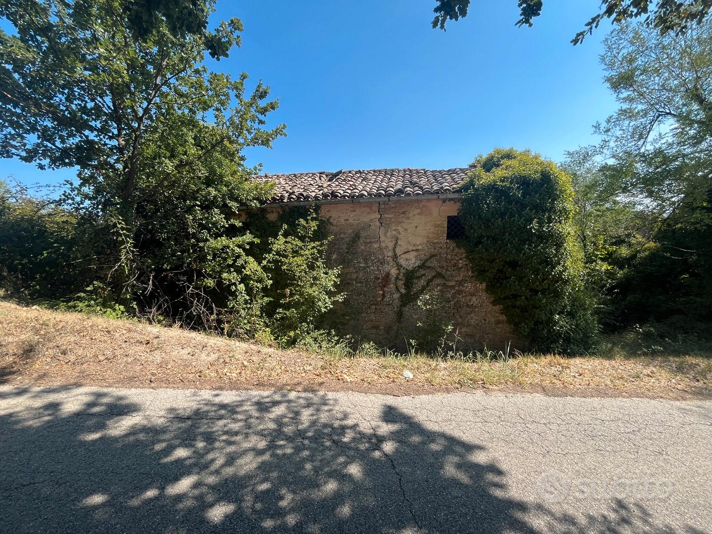 2 casali collabenti + 7 ettari terreno Montelparo - Vista 3